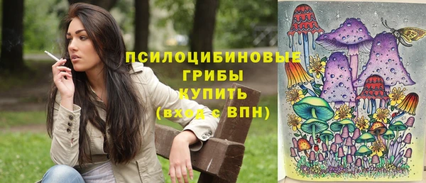 твердый Зеленодольск