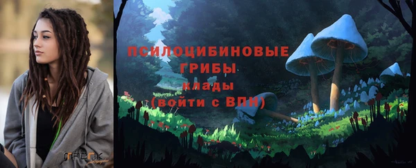 твердый Зеленодольск