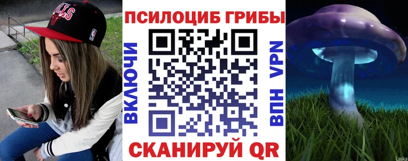 shop Telegram  Нижние Серги  Галлюциногенные грибы Psilocybine cubensis 